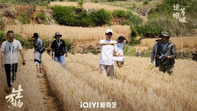 《生万物》杨幂、欧豪领衔主演的电视剧杀青-1