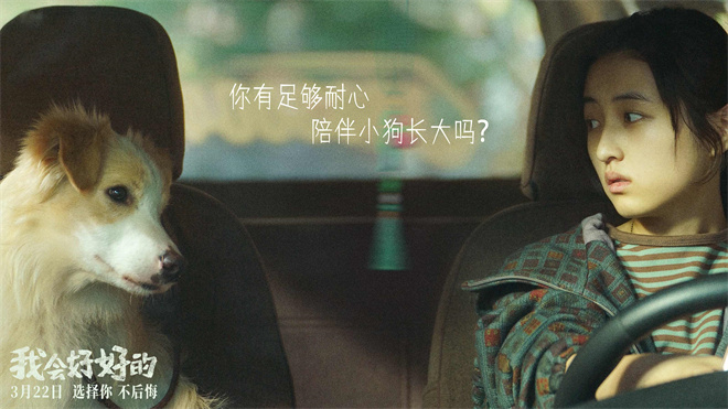 张子枫主演《我会好好的》3月22日上映 萌宠温情故事-3