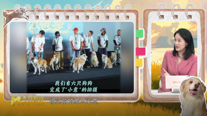张子枫：《我会好好的》生命告别课-5