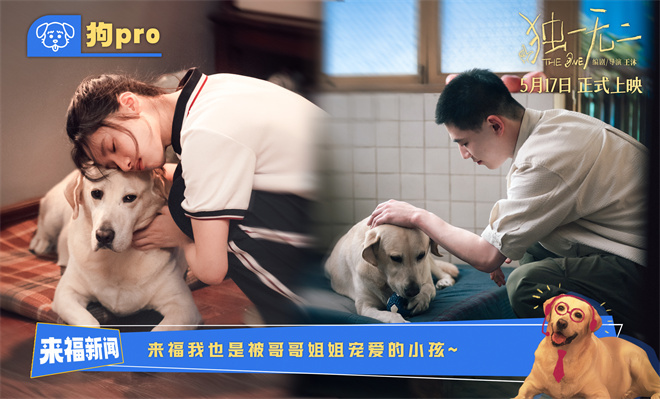 《独一无二》完整/加长版国语中字「HD720P/3.2G-MP4」独家资源上线百度云网盘-1