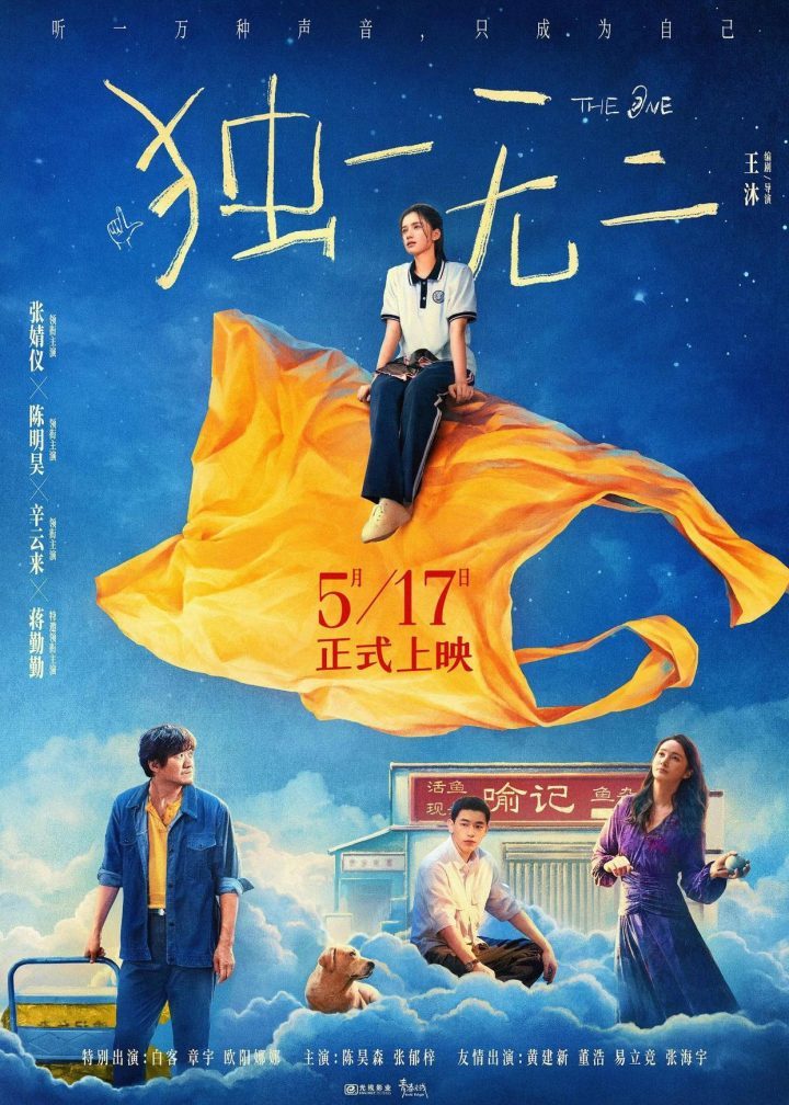《独一无二》加长版【BD1080P/3.4G-MP4】国语中字独家资源上线阿里云-2