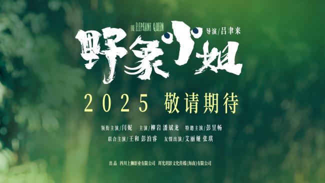 《野象小姐》预告发布：闫妮彭昱畅母子首秀-1