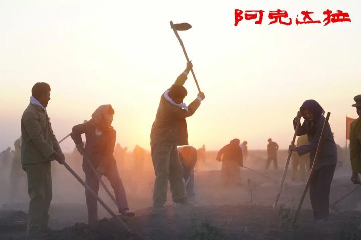 《阿克达拉》上映：李雪健演绎援疆人信念与坚守-1