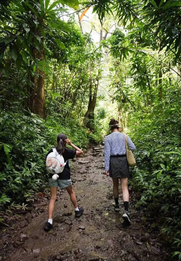 孙俪晒全家爬山照:四口同框,等等身高超妈《》-2 孙俪晒全家爬山照:四口同框,等等身高超妈《》-2