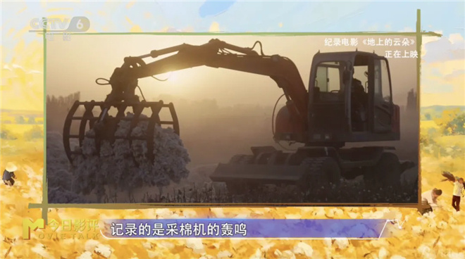 《新疆棉田上的云朵》:云絮飘落之地-2 《新疆棉田上的云朵》:云絮飘落之地-2