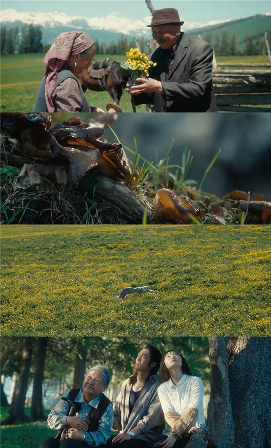 《新疆棉田上的云朵》:云絮飘落之地-1 《新疆棉田上的云朵》:云絮飘落之地-1