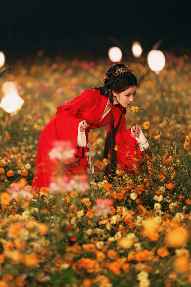 迪丽热巴红衣花海,垂眸间明艳动人-1 迪丽热巴红衣花海,垂眸间明艳动人-1